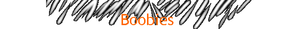 Boobies